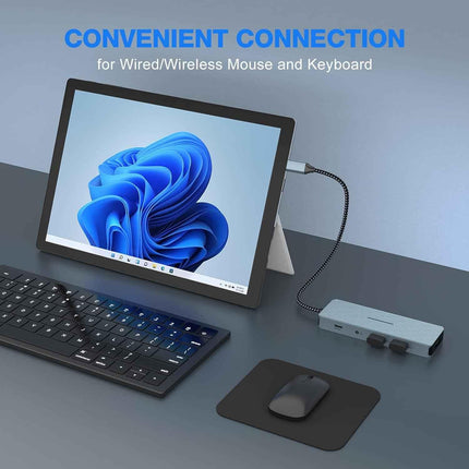 10 in 1 USB C Docking Station - 4K HDMI 2 USB 3.0 2 USB 2.0, USB-C 100W PD SD/TF