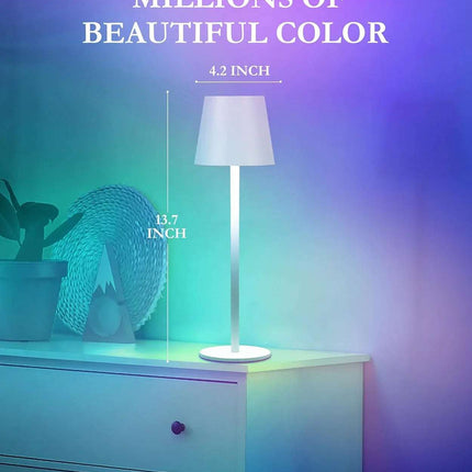 Rechargeable RGB LED Table Lamps Touch Dimmable 2 Pack IP54 White Indoor/Outdoor