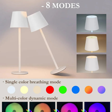 Rechargeable RGB LED Table Lamps Touch Dimmable 2 Pack IP54 White Indoor/Outdoor